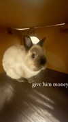 ifkissescouldleavecuts Altpins Profile Picture