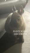 ifkissescouldleavecuts Altpins Profile Picture