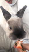 ifkissescouldleavecuts Altpins Profile Picture