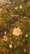 ifkissescouldleavecuts Altpins Profile Picture