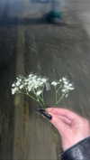 ifkissescouldleavecuts Altpins Profile Picture