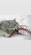 ifkissescouldleavecuts Altpins Profile Picture