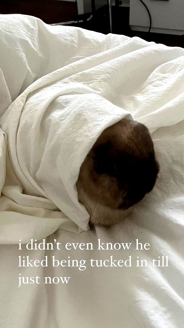 ifkissescouldleavecuts ifkissescouldleavecuts archive image