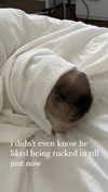 ifkissescouldleavecuts Altpins Profile Picture