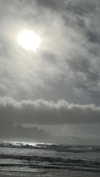 ifkissescouldleavecuts Altpins Profile Picture