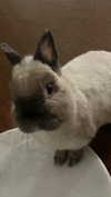 ifkissescouldleavecuts Altpins Profile Picture