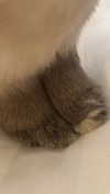 ifkissescouldleavecuts Altpins Profile Picture