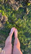 ifkissescouldleavecuts Altpins Profile Picture