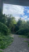 ifkissescouldleavecuts Altpins Profile Picture