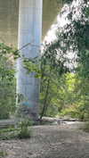ifkissescouldleavecuts Altpins Profile Picture