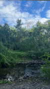 ifkissescouldleavecuts Altpins Profile Picture