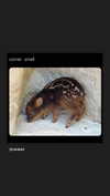 ifkissescouldleavecuts Altpins Profile Picture