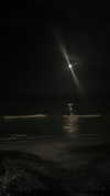ifkissescouldleavecuts Altpins Profile Picture