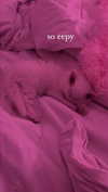 ifkissescouldleavecuts Altpins Profile Picture