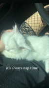 ifkissescouldleavecuts Altpins Profile Picture