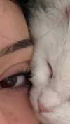 ifkissescouldleavecuts Altpins Profile Picture