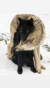ifkissescouldleavecuts Altpins Profile Picture