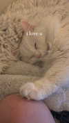 ifkissescouldleavecuts Altpins Profile Picture