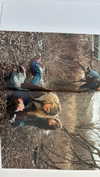 ifkissescouldleavecuts Altpins Profile Picture
