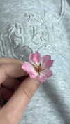 ifkissescouldleavecuts Altpins Profile Picture