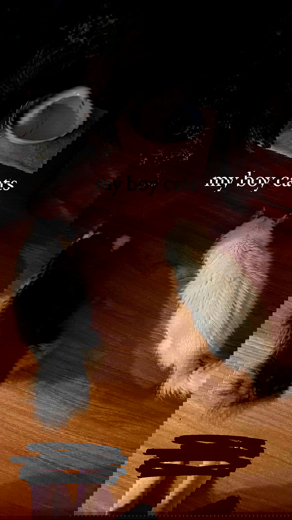 iheartpidge iheartpidge archive image