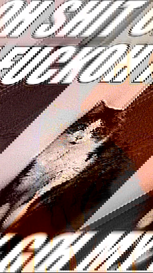 iheartpidge iheartpidge archive image