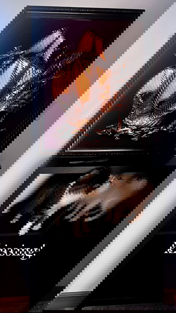 iheartpidge iheartpidge archive image