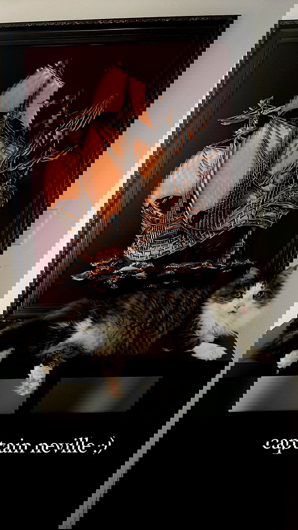 iheartpidge iheartpidge archive image