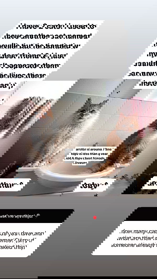 iheartpidge iheartpidge archive image