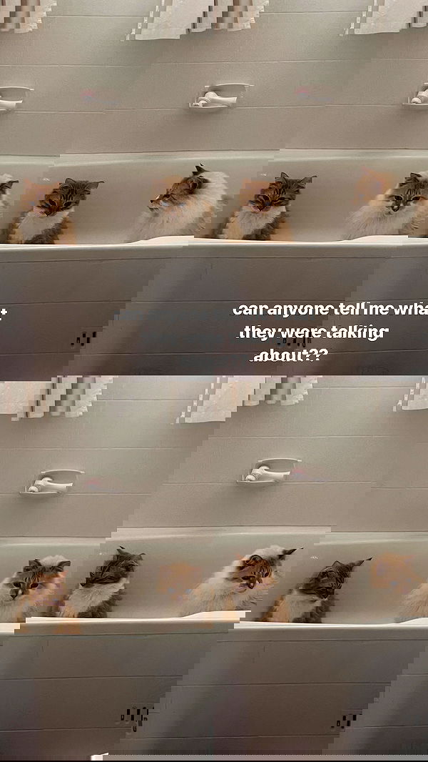 iheartpidge iheartpidge archive image