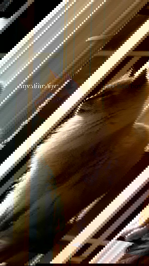 iheartpidge iheartpidge archive image