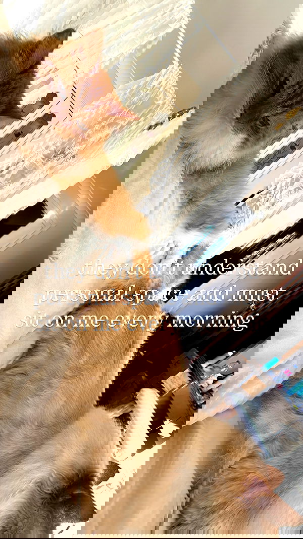 iheartpidge iheartpidge archive image