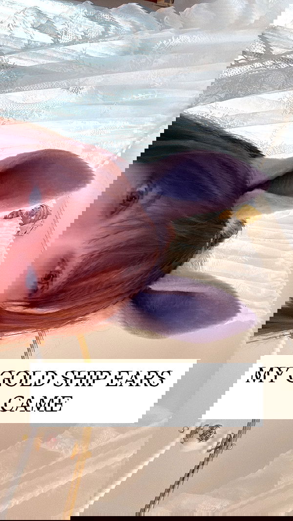 iheartpidge iheartpidge archive image