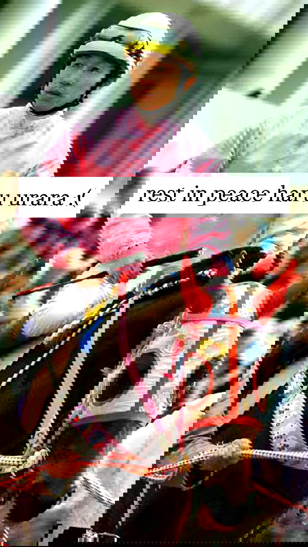 iheartpidge iheartpidge archive image