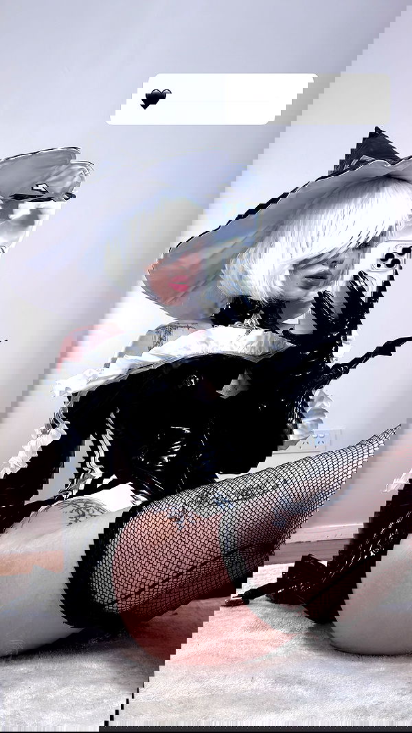 iheartpidge iheartpidge archive image