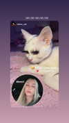 ilana.21 Altpins Profile Picture