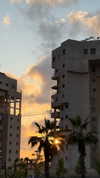 ilana_kotlovker Altpins Profile Picture