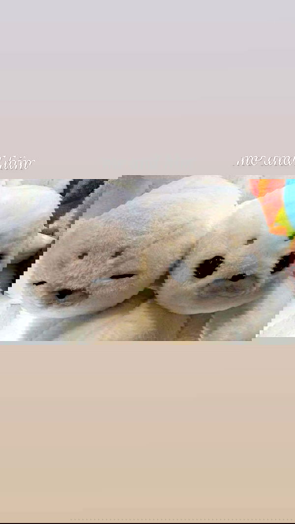 ilikesleepin_g image ~ Altpins