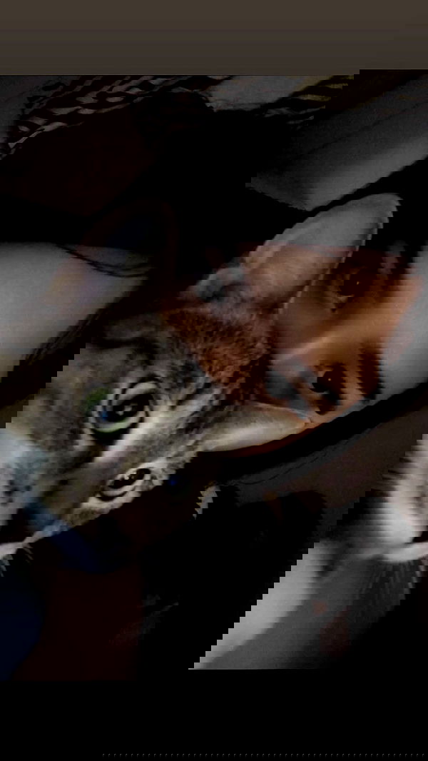 ilikesleepin_g image ~ Altpins