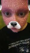 iljfgigi Altpins Profile Picture