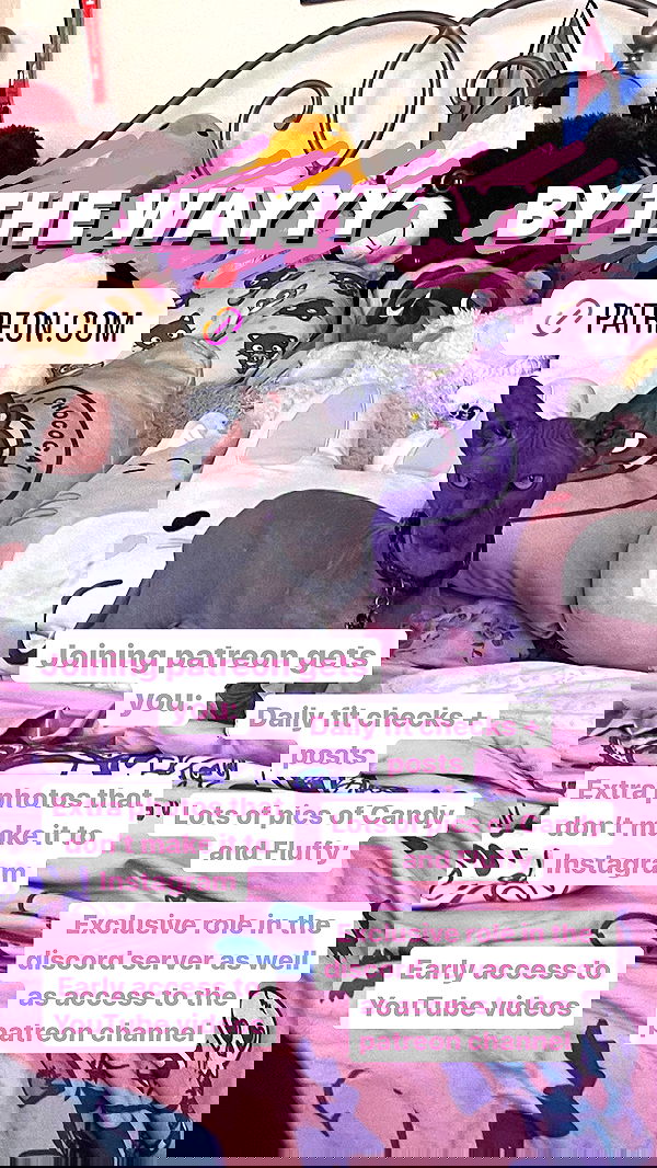 iluvmeww iluvmeww archive image