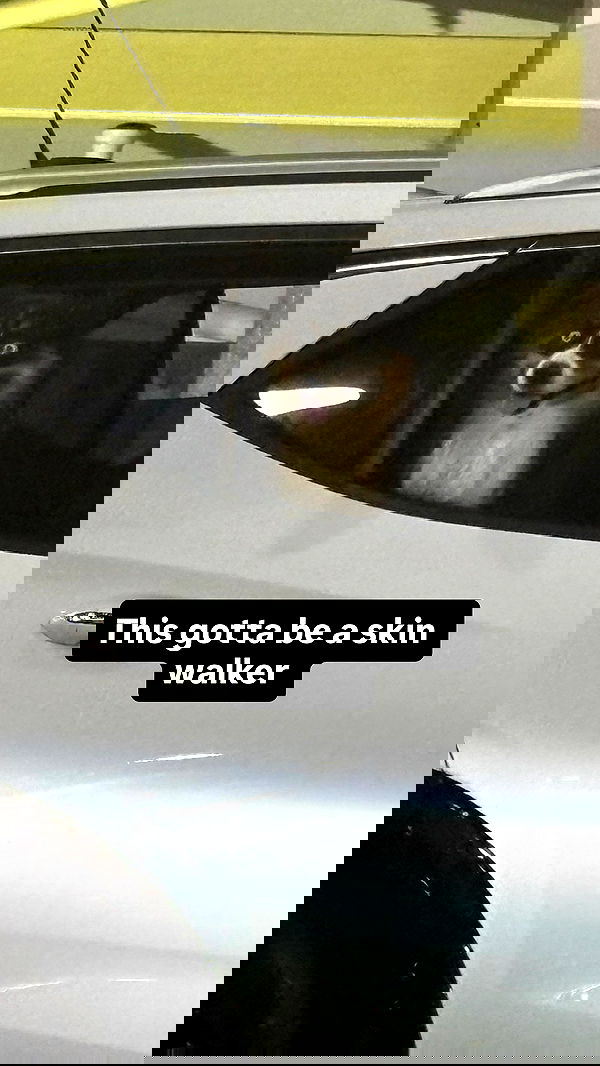 iluvmeww iluvmeww archive image