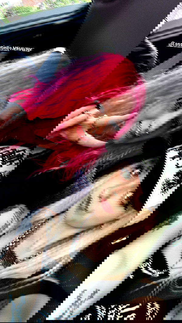 iluvmeww iluvmeww archive image