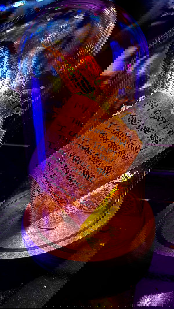 iluvmeww iluvmeww archive image