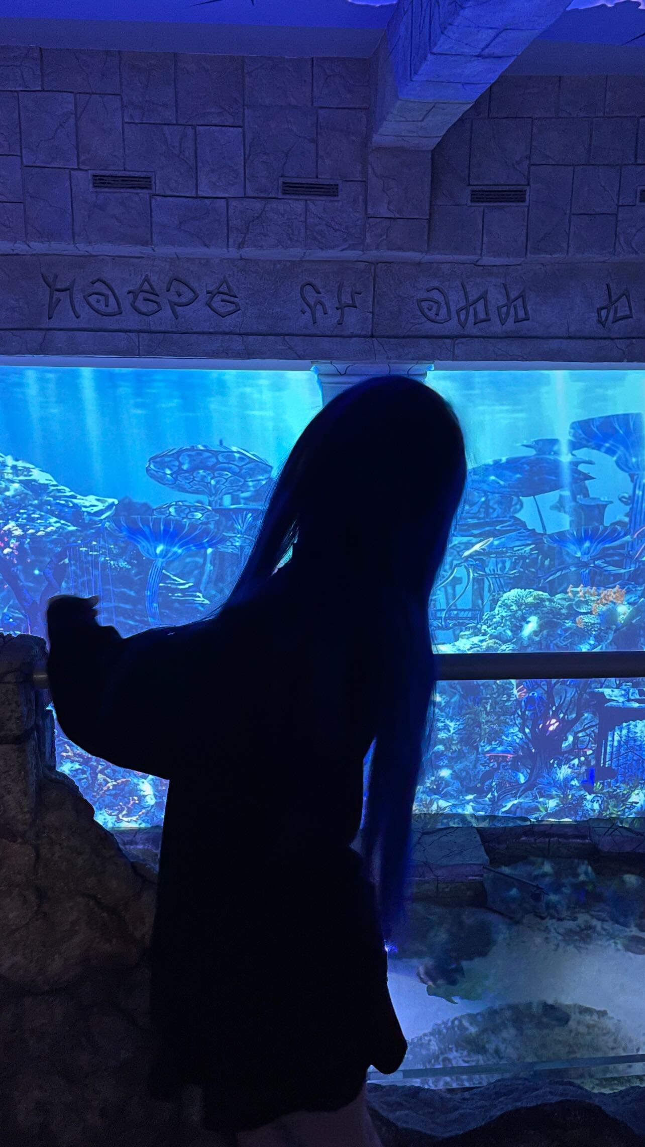 imalovesosa instagram image archive image