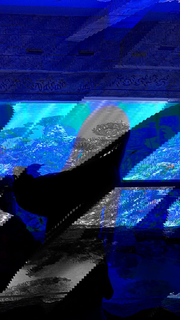 imalovesosa image ~ Altpins