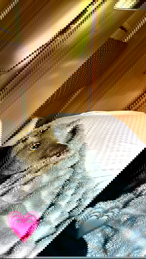 imalovesosa image ~ Altpins