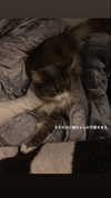 imo00_2 Altpins Profile Picture