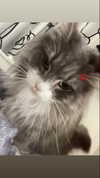 imo00_2 Altpins Profile Picture
