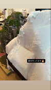 imo00_2 Altpins Profile Picture